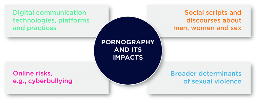 understanding pornography legal guidelines in india a paradoxical state of affairs
