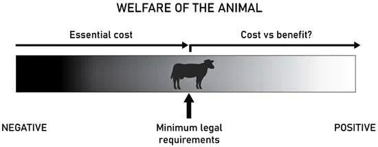 Understanding Horse Pornography Laws: Legal Penalty, Ethical Challenges, and Consequences
