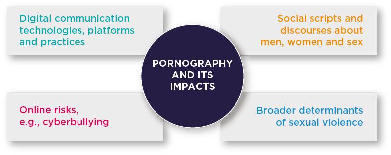 the role of pornography in shaping sexual identities
